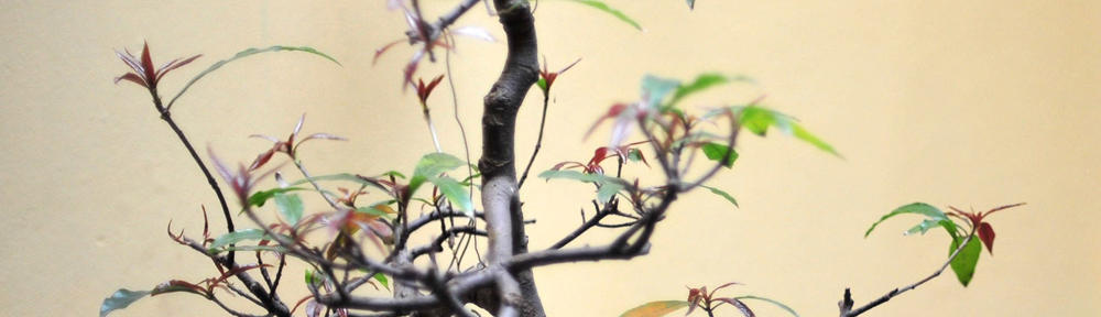 発達障害の動き