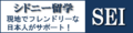 SEI総合研究所200 50.png